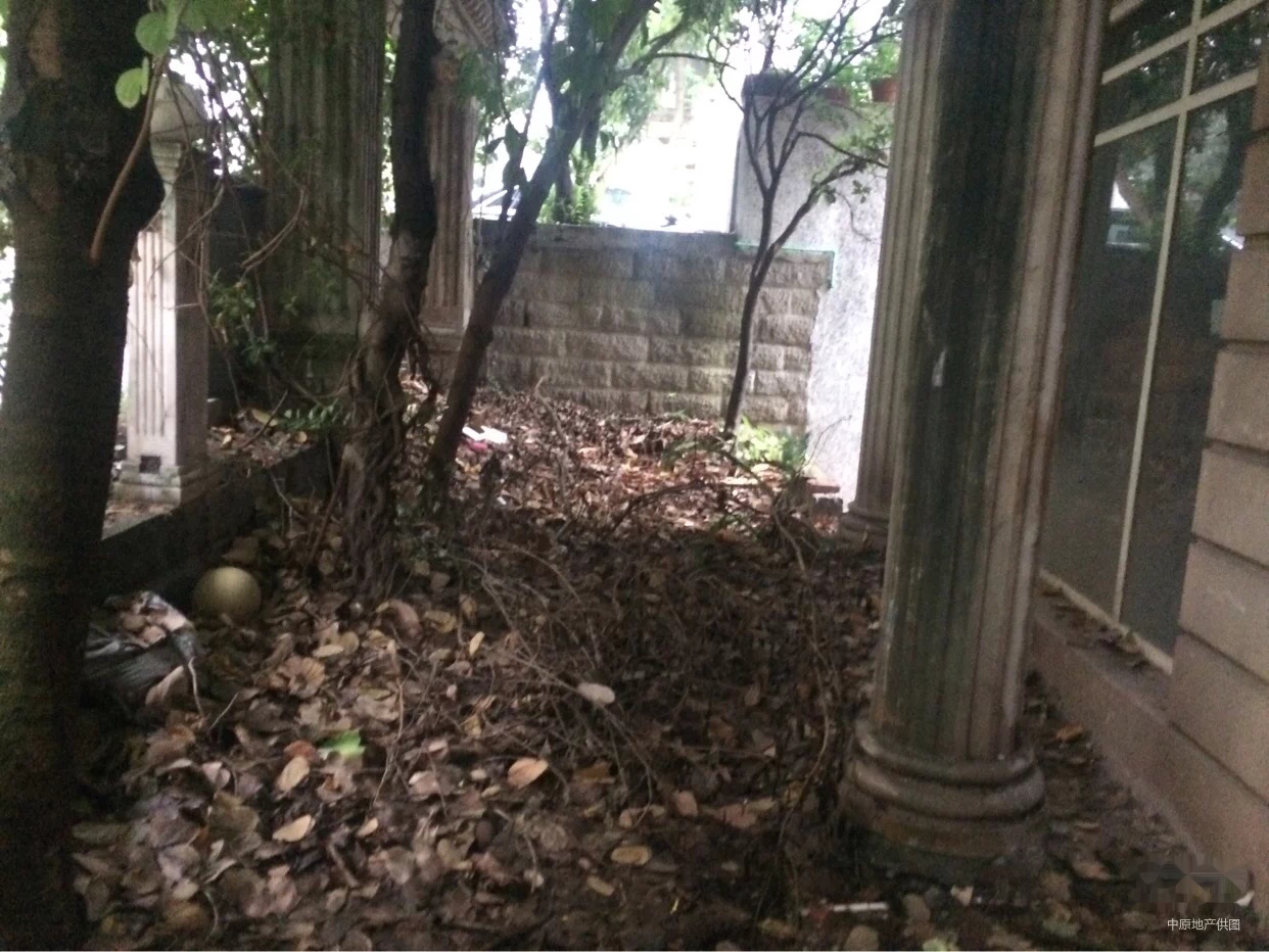 玫瑰山庄 独栋别墅 一线看江 占地近1亩 搞快来看-搜狐焦点重庆二手房