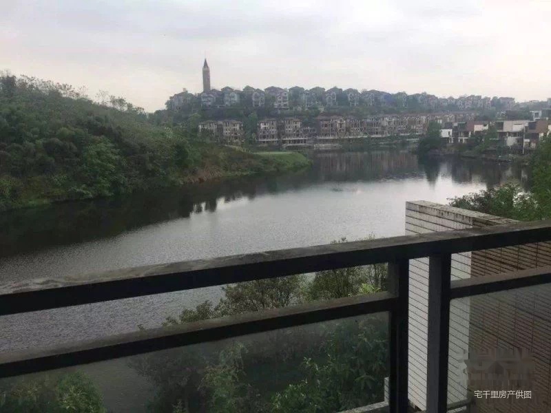 中安翡翠湖 一线临湖下叠端户 送花园采光好