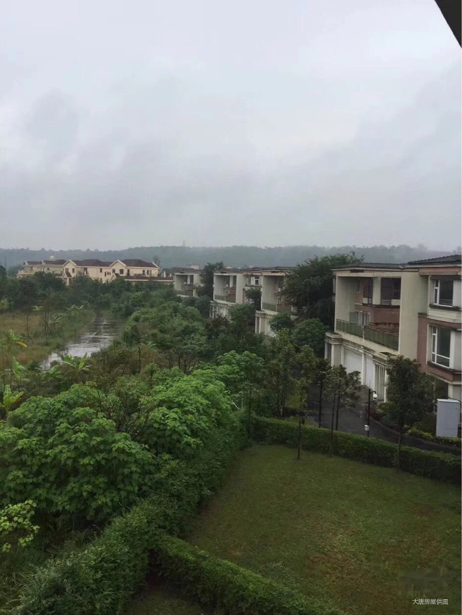 俯瞰杨柳河,视野开阔,无遮挡,带超大花园,单价8000