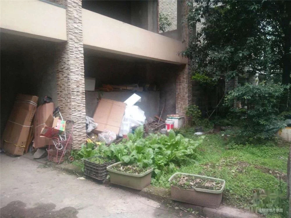 南滨路滨江独栋 玫瑰山庄 可按揭