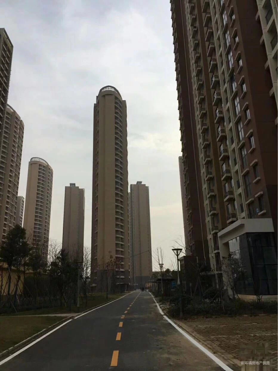 光谷豹澥还建房 可合同更名,需要一次性,户型方正