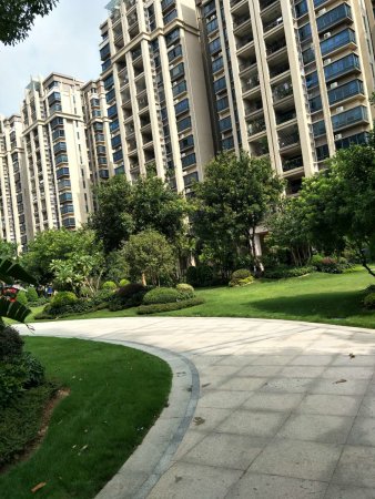 碧桂园柏丽湾 精装两房 业主诚售 你在还在等什么