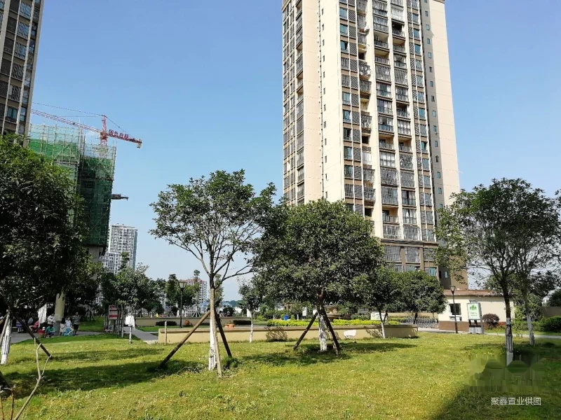 迎宾一号