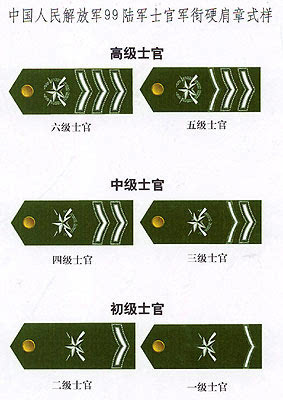 图片中华人民共和国军衔警衔关衔图解解放军陆军军衔将官