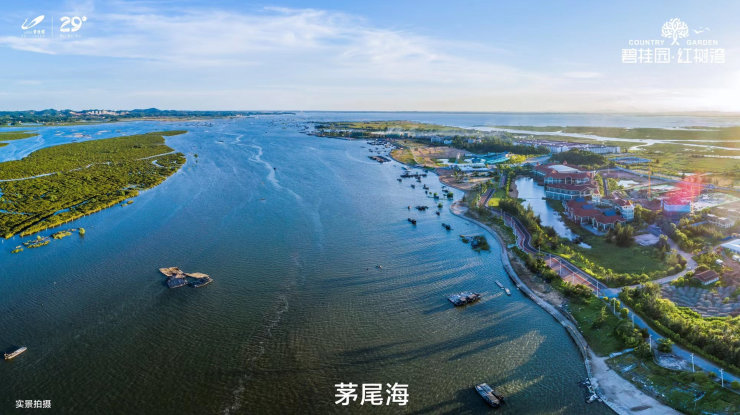 广西北部湾碧桂园红树湾钦州碧桂园红树湾离市钦州港有多远