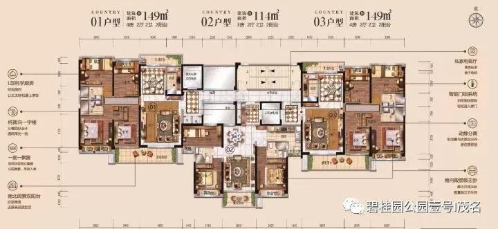 碧桂园公园壹号114-149㎡少量洋房全城告急-茂名搜狐