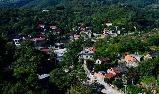 店子底村,东黄水镇马驼村,北小店乡六固村 娄烦县:杜交曲镇下石家庄村
