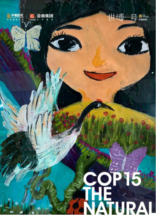 带孩子上cop15|谁能在cop15主会场的舞台发声?-昆明