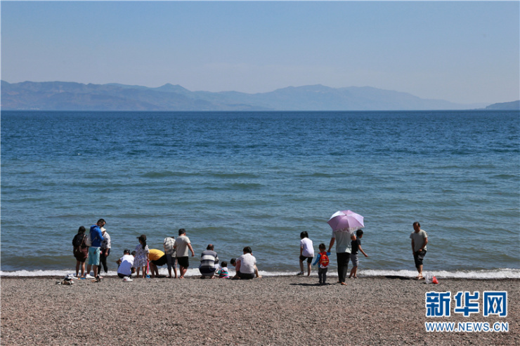抚海湾湿地公园成网红打卡地 云南澄江抚仙湖畔花开正