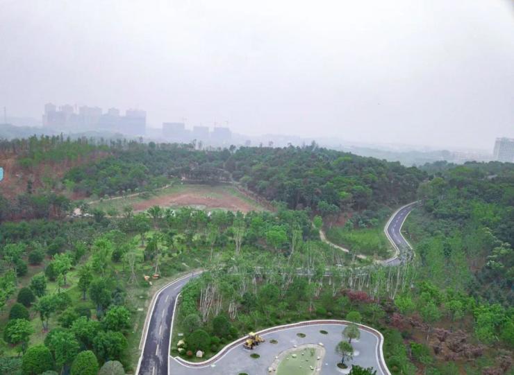 羊山森林植物园实景图