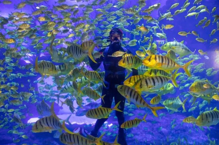 海洋明星集体空降天水首届梦幻海洋节狂欢盛启