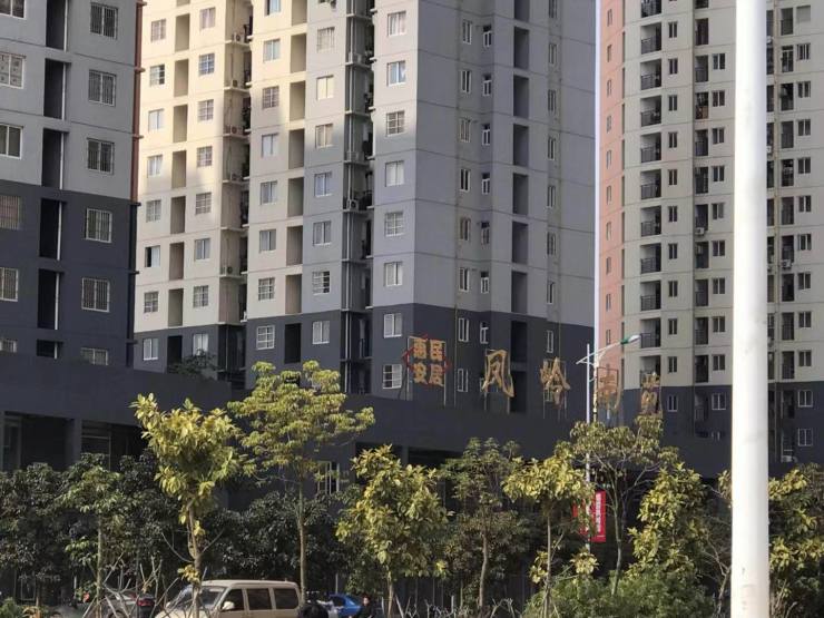 什么建筑物,而沿凤岭南路往东,有在售楼盘常青藤,已入住楼盘凤岭南苑