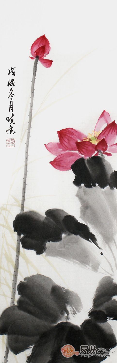 花鸟画家郑晓京国画荷花欣赏 精美绝伦