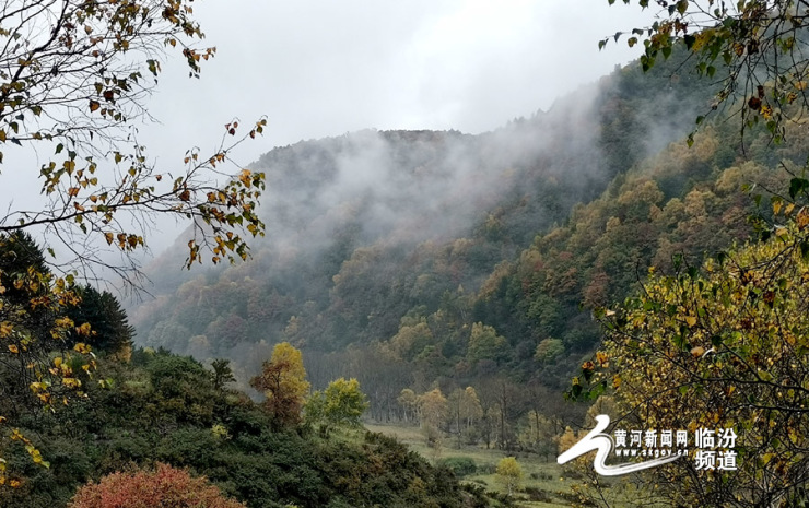 视觉临汾:雾罩霍山七里峪