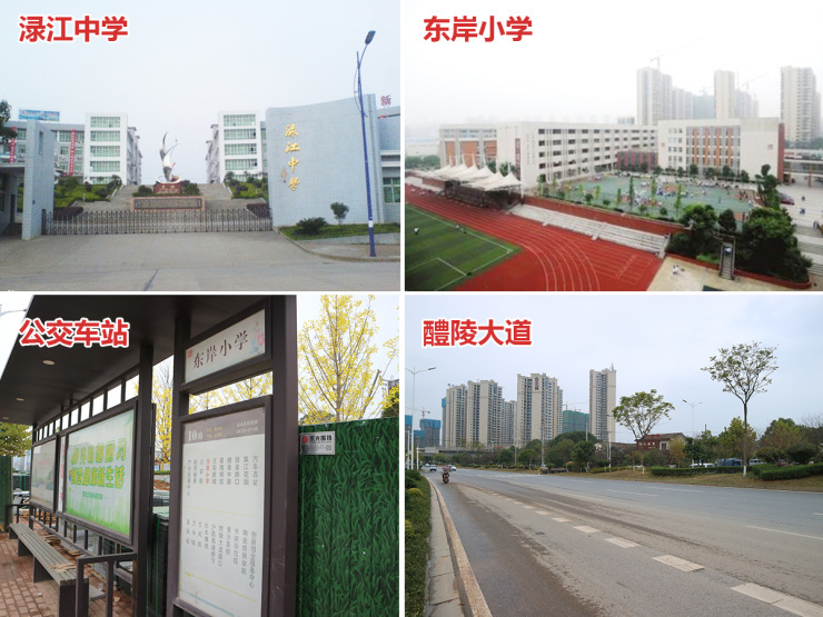 东岸小学(规划升级为实验二小),黄沙中学,德才外语学校,醴陵市新三中