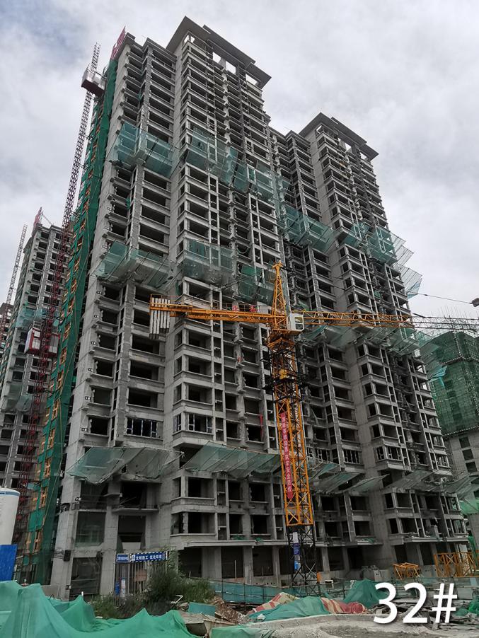 橄榄绿洲和雅最新工程进度播报
