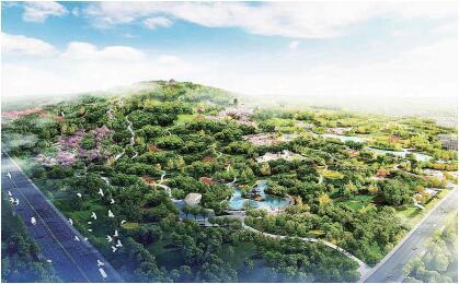 淄博花山公园2017年5月底前全部竣工