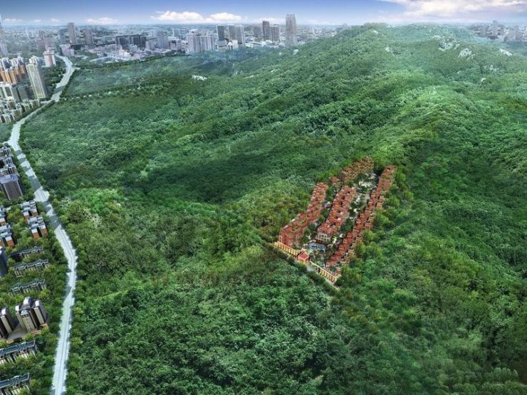 大南山紫园
