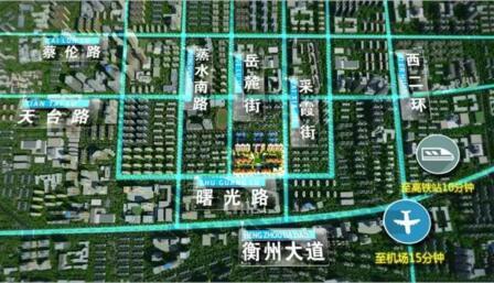 大品牌 衡洲府紧邻华新片区发展重点陆家新区,雨母新区 虚拟大学