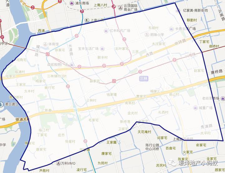 三林板块