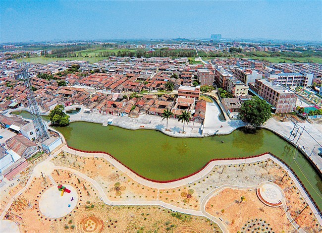 金灶桑葚 一个偏僻的纯农革命老区村,在精准扶贫