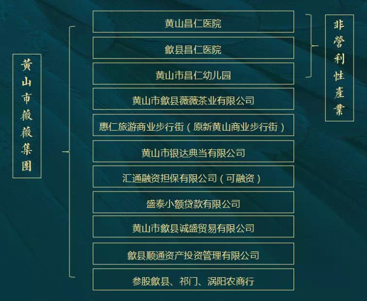 性和非营利性企业两大板块,其中非营利性机构有黄山和歙县的昌仁医院