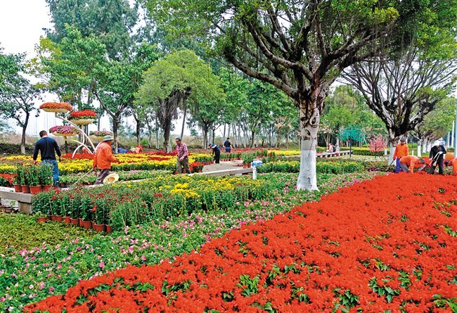 汕头城市园林建设已从简单的绿化走向花化,彩化
