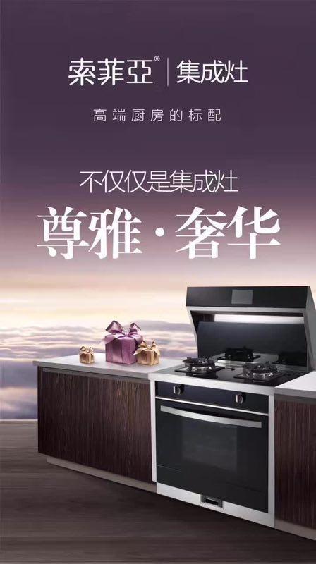 爱回家索菲亚 索菲亚集成灶运营中心于嵊州腾飞