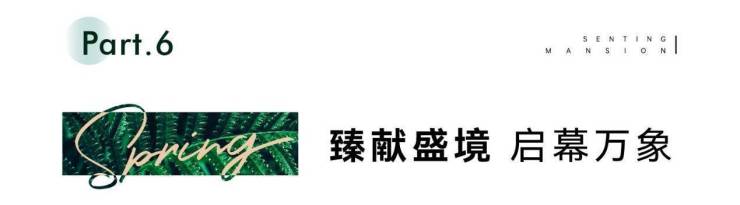 森霆春晓colife示范区惊艳绽放迭新城市人居封面