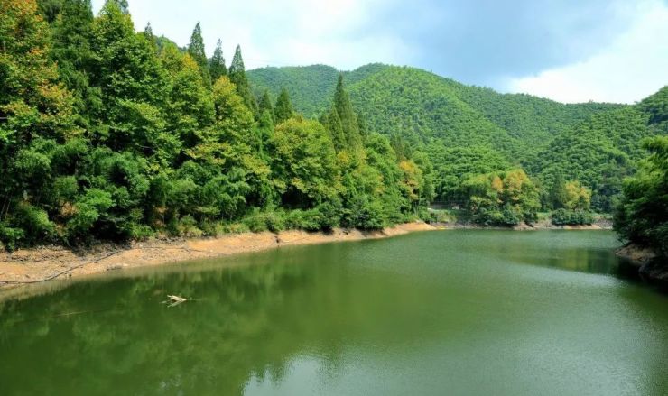 8黄湖镇青山村no.9仁和街道渔公桥村no.