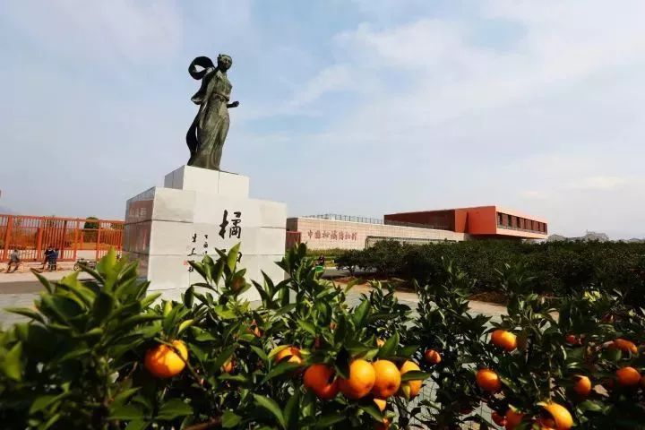 今年,澄江街道将中国柑橘博览园空中栈道列入年度十件大事之一,总投资