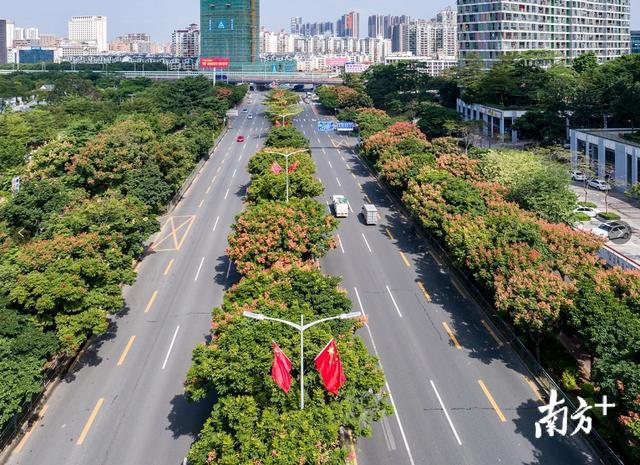 深圳綠化墻-深圳到2020年綠化覆蓋率將達50%以上