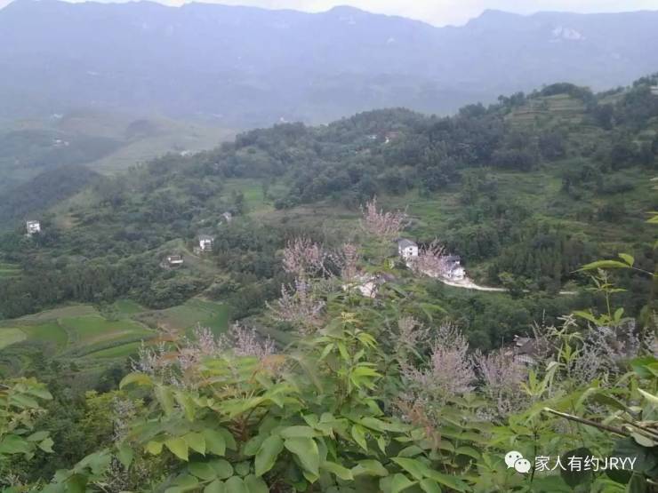 【家人有约】道真隆兴镇大联村-休闲圣地,养生天堂!