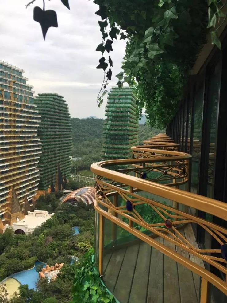 【海南岛推荐】大树公馆 美丽之冠,傲三亚之颠