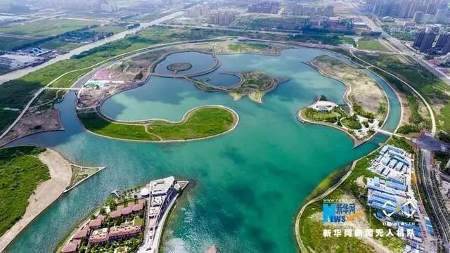 在上海,最羡慕的就是住在奉贤的!