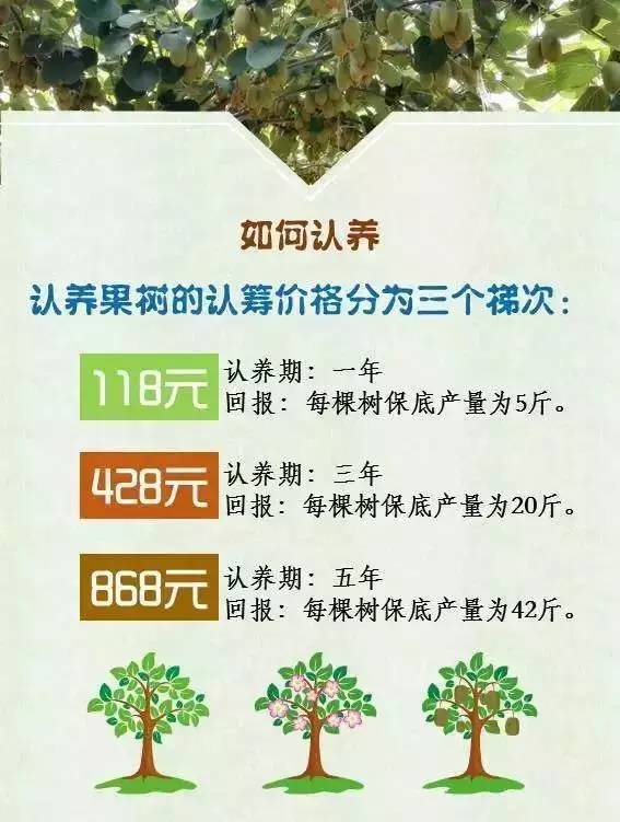 置地会公益丨金寨华润希望小镇猕猴桃树认养计划