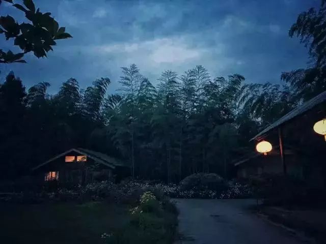 职场女神放弃高薪隐居山林,盖4间房,日子又慢又美