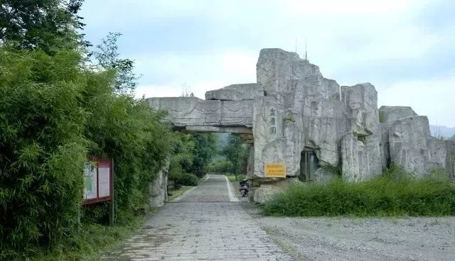 这条通往余姚横坎头村的农村公路,未来颜值会更高