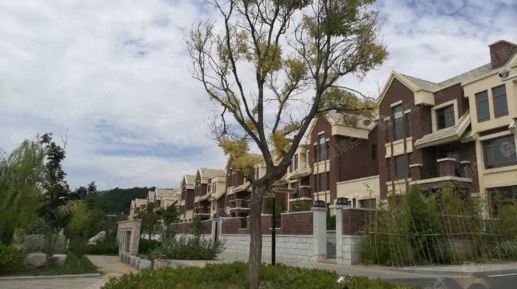 中正山庄 独栋别墅 联排多套 可贷款
