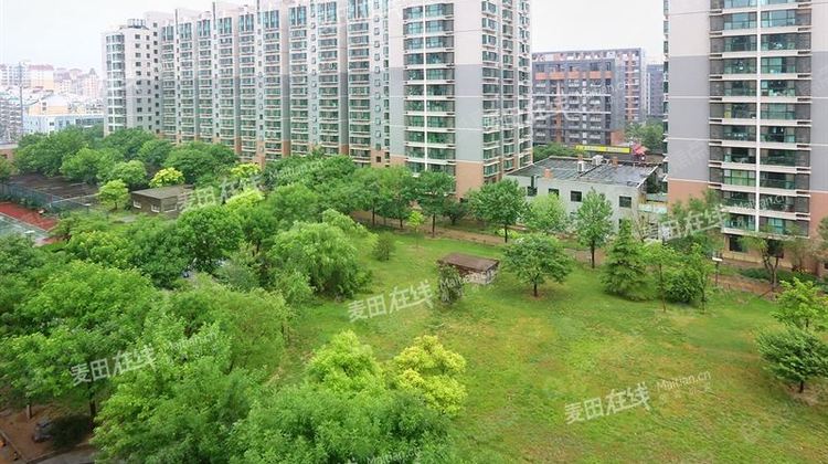 华纺易城 东区三居室 南北通透 采光好