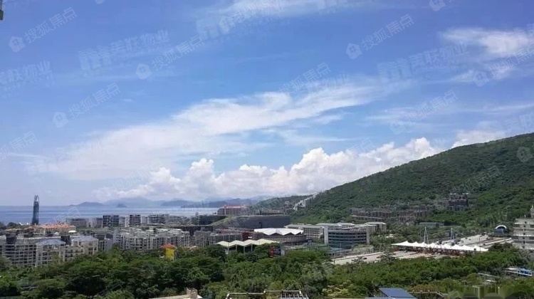 万科东海岸三期联排钥匙别墅满两年红本在手有别墅湖绿栋毛坯图片