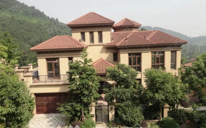 蓝派豪宅,新湖香格里拉,流杉苑,独栋别墅,送大花园,房东诚售