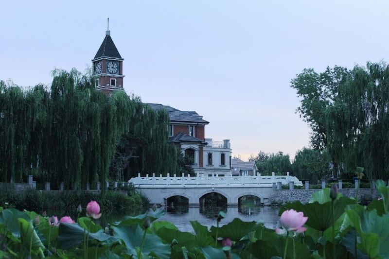 提香双拼诚意南厅南别墅院带出售花园别墅装修多少业主柯桥平方排屋有图片