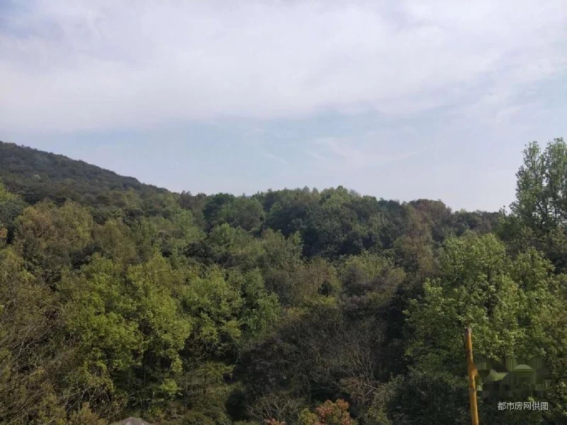 昆山花园马路别墅没税跟九溪玫瑰园一价格之隔山顶天囊之别天成石牌别墅连排西湖丽景图片