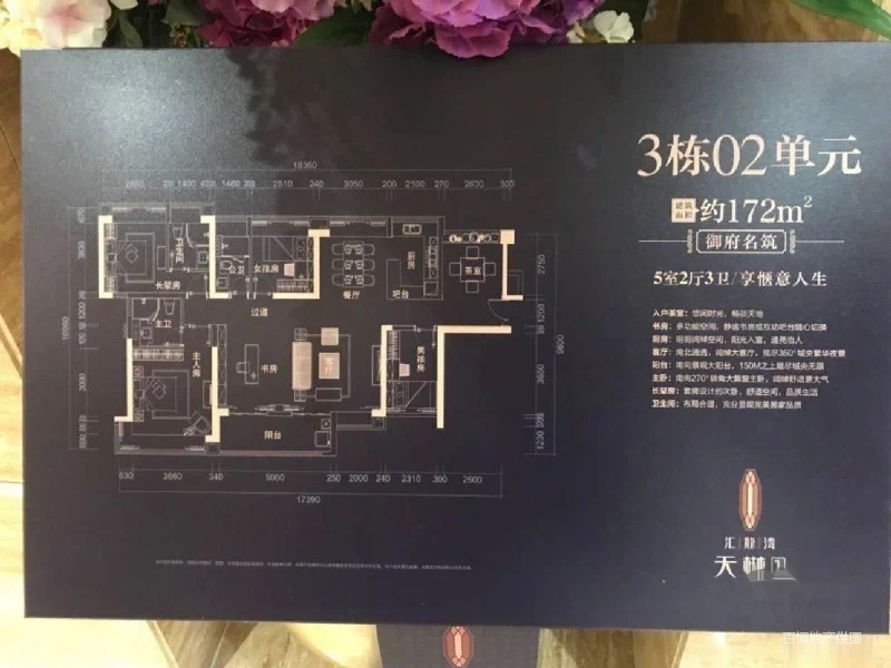 东莞豪宅 汇龙湾天越 尽享南城一线江景视野 南北通透