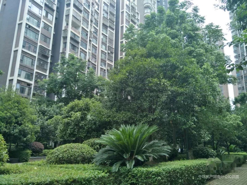 首付16.8万急售 地铁口 毛坯两房 幸福里润城 性价比无敌