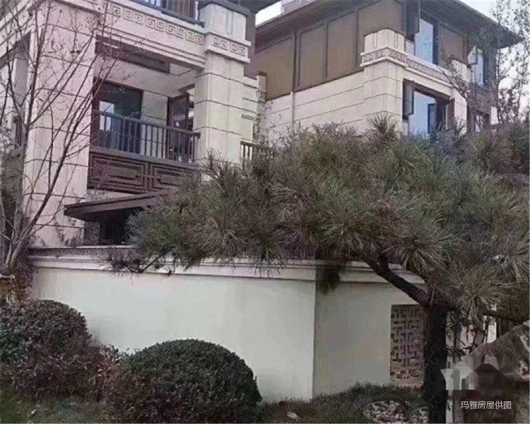齐河一楼带院 温泉小镇 不联排别墅高尔夫球场,山师