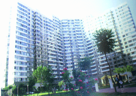 华鼎世家相册