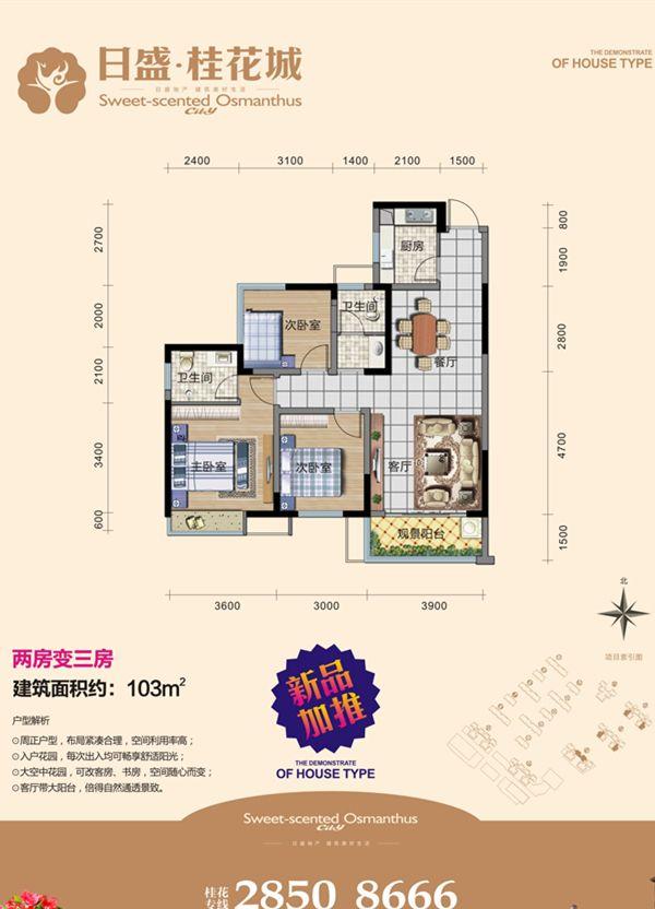 桂花城19栋户型103平米