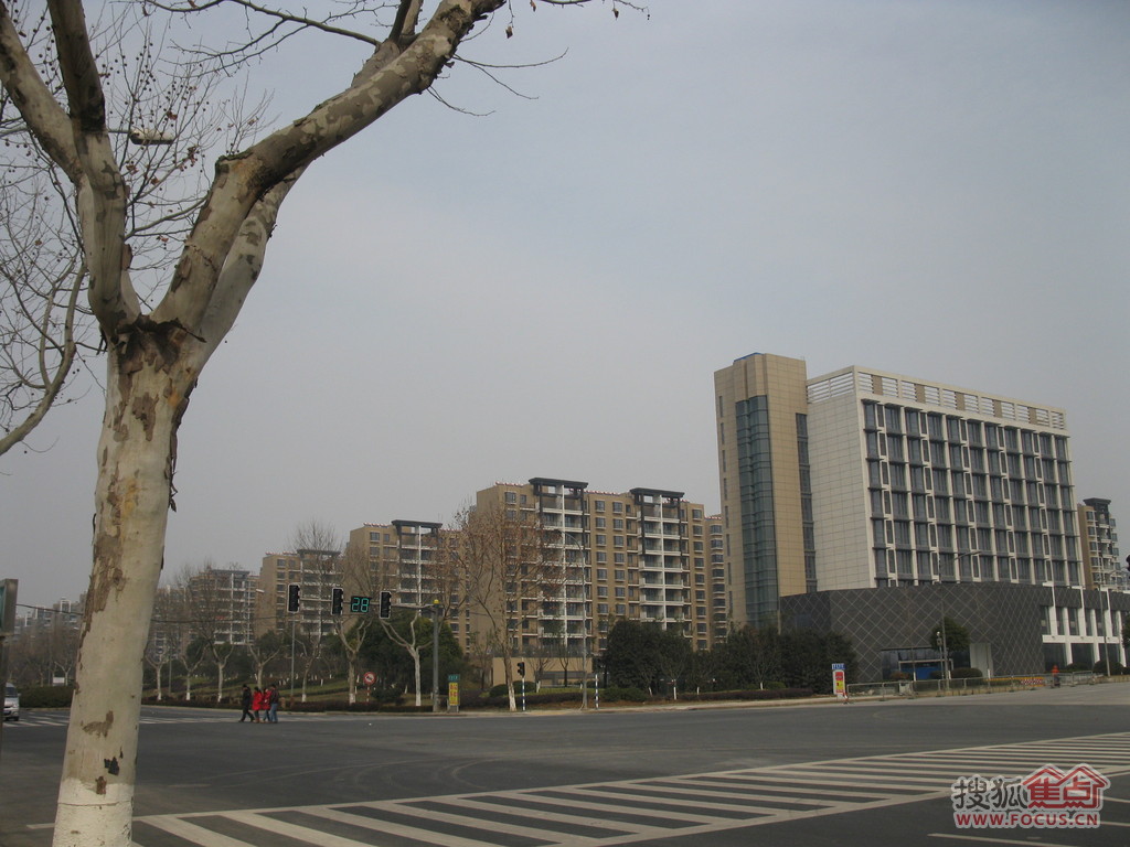 南京阅城国际花园小区_二手房_租房-南京搜狐焦点